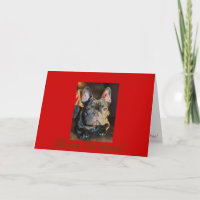 petunia signature 11 28 06, Merry Christmas!