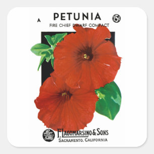Petunia Square Sticker