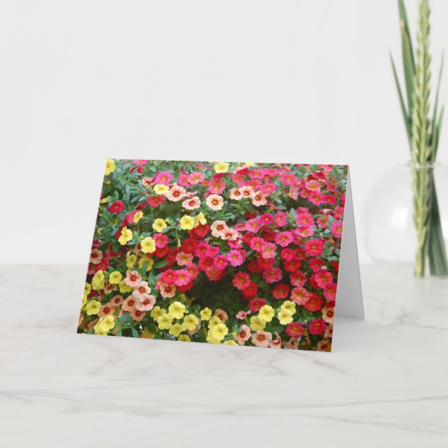 Petunias Card (Front)