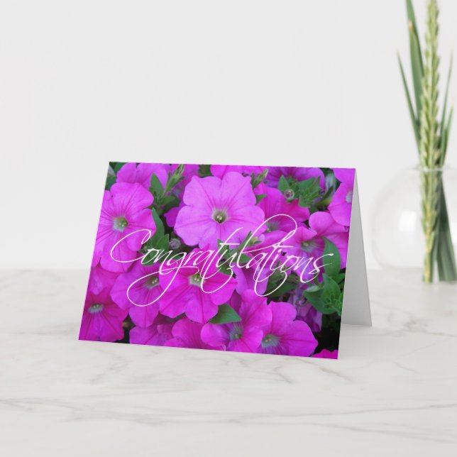 Petunias Congratulations Card (Front)