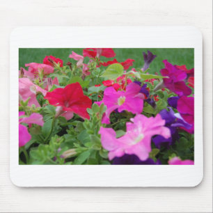 Petunias Mouse Pad