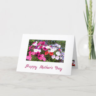 Petunias Pink and White Flower Mother's Day Card
