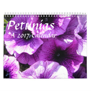 Pétunias - un calendrier 20XX