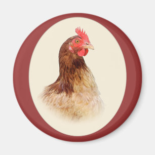 Peu aimant Brown de poule