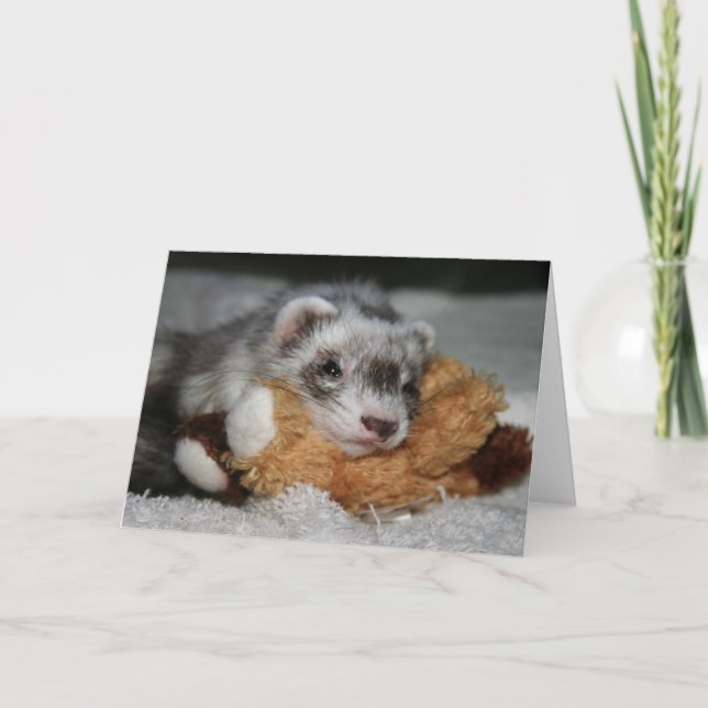 Peu de carte de voeux de penny de Dooks (Devant)