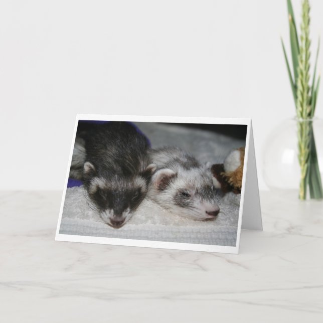 Peu de cartes de voeux de dormeurs de Dooks (Devant)