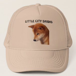 PEU DE CASQUETTE DE LA VILLE SHIBA