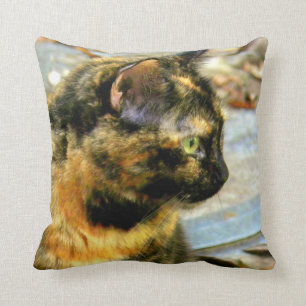 Peu de coussin de Mojo de chat de Tortie