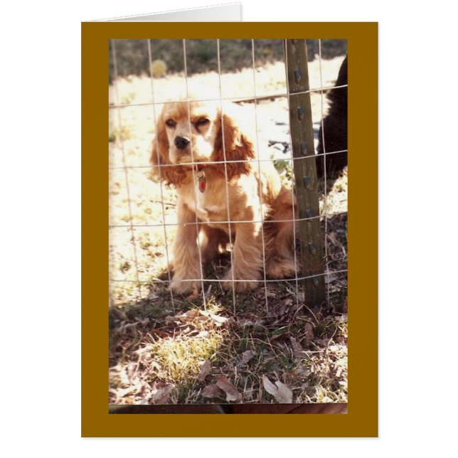 peu proscrit (Devant)