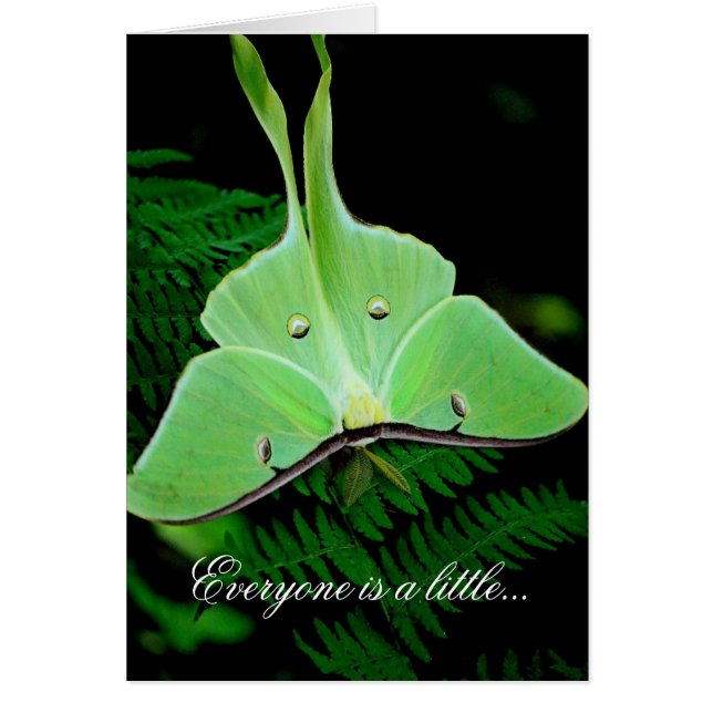 Peu un irlandais (Devant)