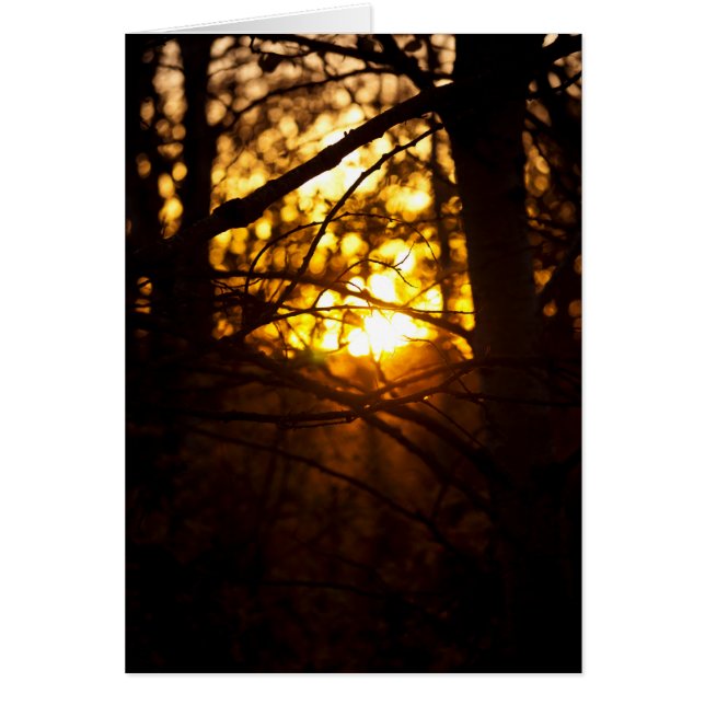 Peuplés couchers de soleil (Devant)