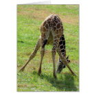 Peux j'aboute dans la carte d'anniversaire