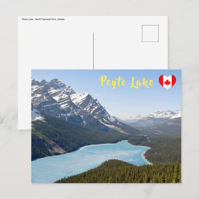 Peyto Lake - Banff National Park, Alberta, Canada Postcard (Front/Back)