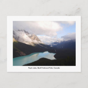 Peyto Lake / Banff National Park, Canada. Postcard