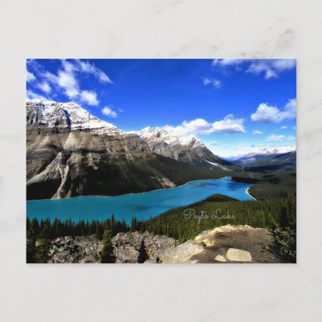 Peyto Lake, Canadian Rockies Postcard (Front)