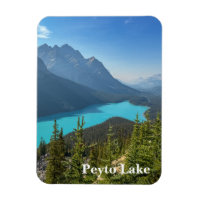 Peyto Lake in Banff Canada