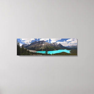 Peyto Lake in Summer Canvas Print