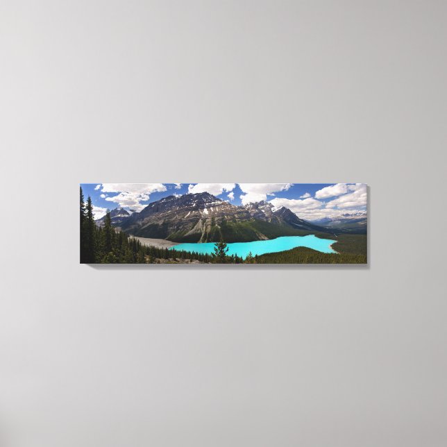 Peyto Lake in Summer Canvas Print (Front)