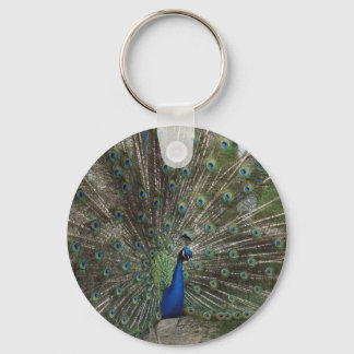 Pfau Keychain