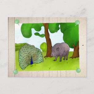 Pfau und Schwein Postcard