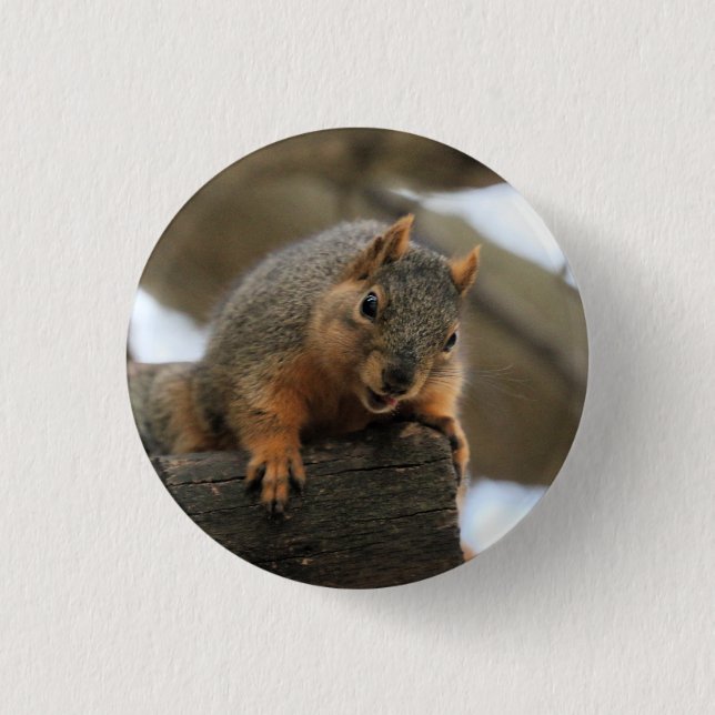 Pfft 1 Inch Round Button (Front)