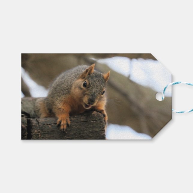 Pfft Gift Tags (Front (Horizontal))