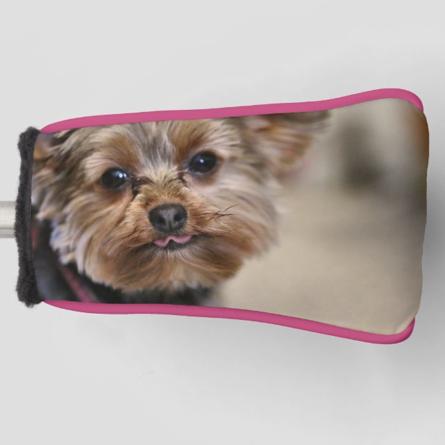 Pfft Golf Head Cover (Front)