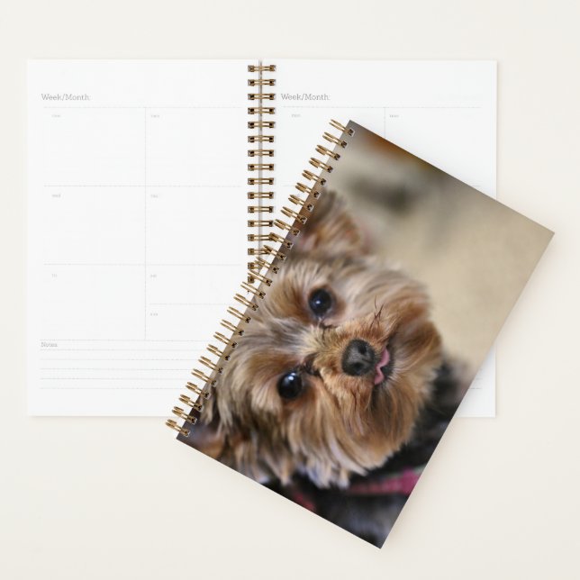 Pfft! Planner (Display)