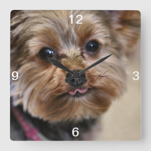 Pfft! Square Wall Clock