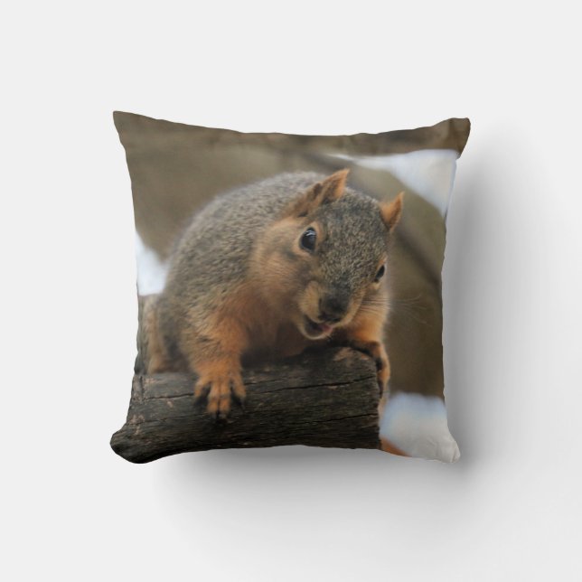 Pfft Throw Pillow (Front)