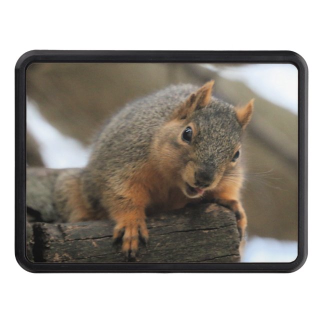 Pfft Trailer Hitch Cover (Front)