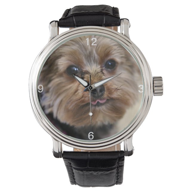 Pfft! Watch (Front)