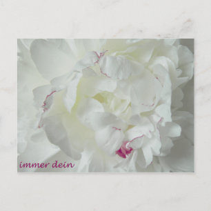 Pfingsten: Immer dein Postcard