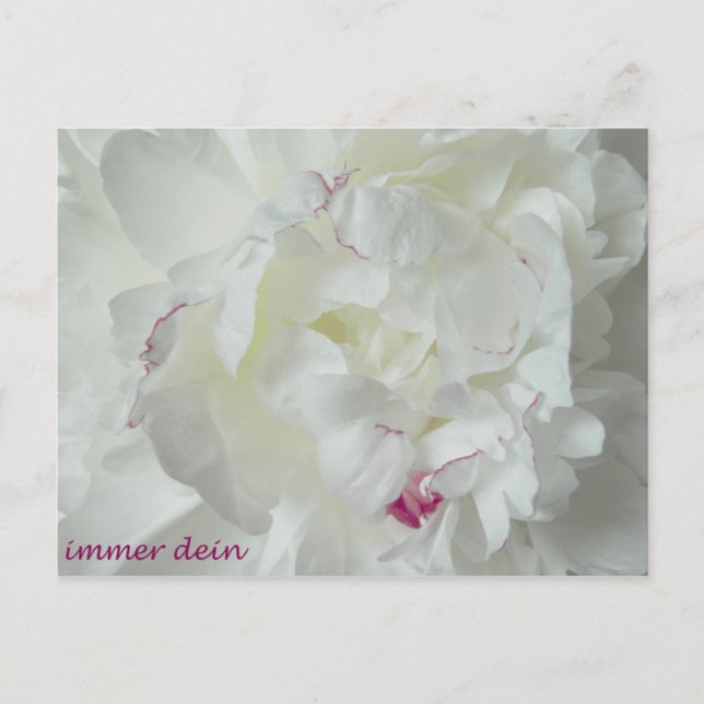 Pfingsten: Immer dein Postcard (Front)