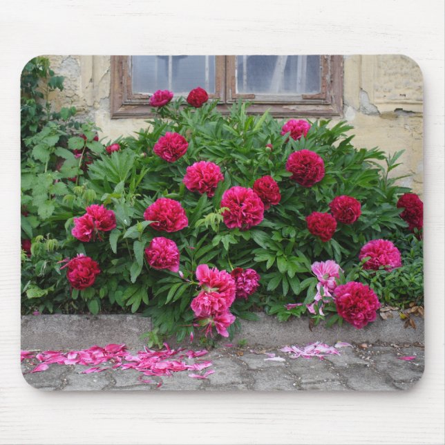 Pfingstrosen Mouse Pad (Front)