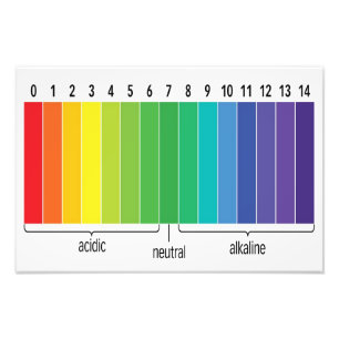 pH Scale Photo Print