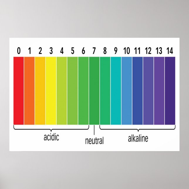pH Scale Poster (Front)