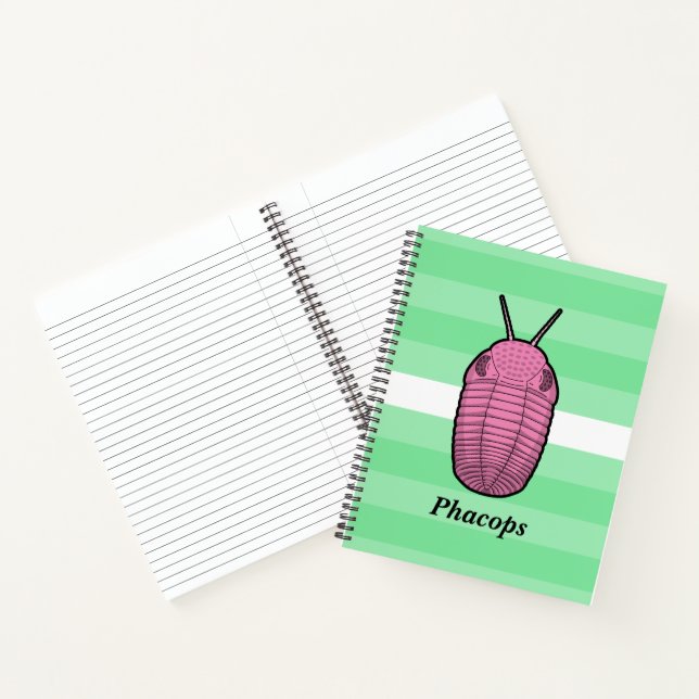 Phacops Trilobite- Prehistoric Animal Notebook (Inside)