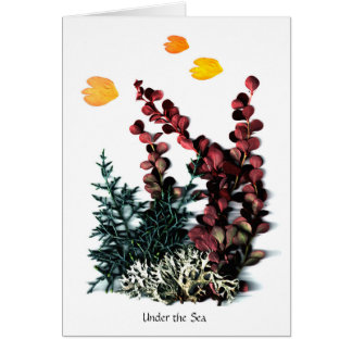 Phaedra's Phantasies - Under the Sea