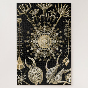 Phaeodaria   61 Gold   Ernst Haeckel   Jigsaw Puzzle