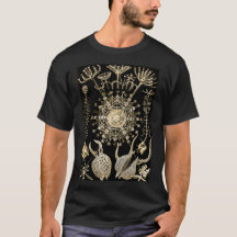 Phaeodaria | 61 Gold | Ernst Haeckel |