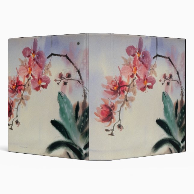 Phalaenopsis Binder (Background)