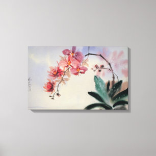 Phalaenopsis Canvas Print