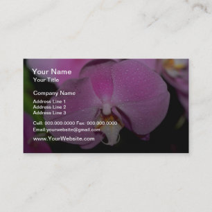 Phalaenopsis flowers business card