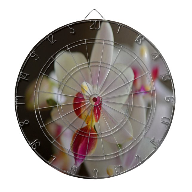 Phalaenopsis Orchid Dartboard (Front)