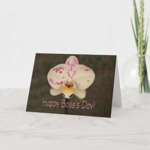 Phalaenopsis orchid Happy Boss's Day Card