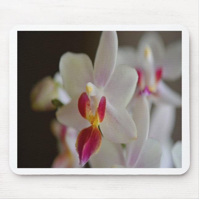 Phalaenopsis Orchid Mouse Pad (Front)
