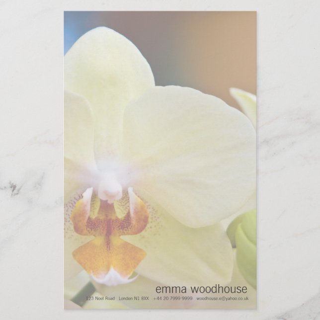 Phalaenopsis Orchid Stationery (Front)