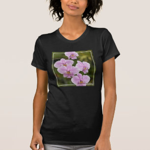 Phalaenopsis Schilleriana T-Shirt