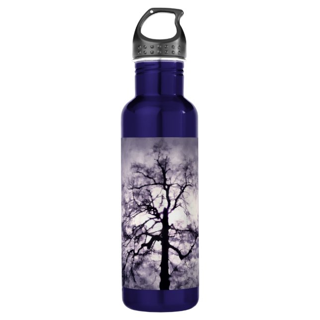 Phantastes 710 Ml Water Bottle (Front)